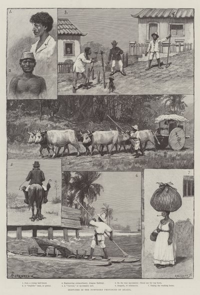 Croquis dans les provinces du nord du Brésil - Amedee Forestier